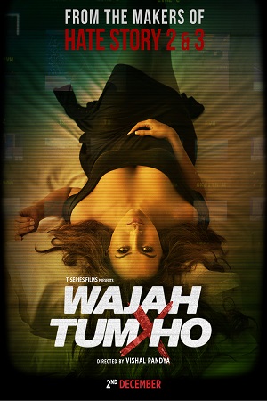 Download Wajah Tum Ho (2016) Hindi Full Movie 480p [350MB] | 720p [1.2GB] | 1080p [4GB]