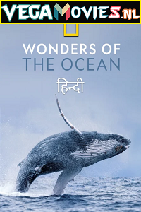 Download Wonders of the Ocean (2021) Season 1 Hindi Complete DSNP WEB Series 480p | 720p HDRip