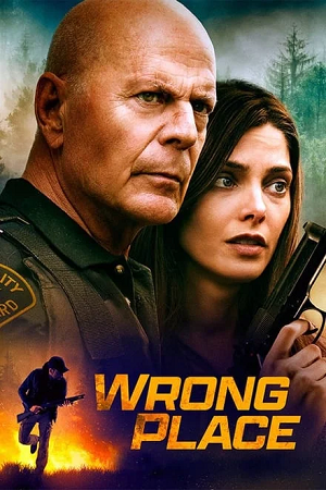 Download Wrong Place (2022) BluRay Dual Audio {Hindi-English} 480p [360MB] | 720p [950MB] | 1080p [2.2GB]