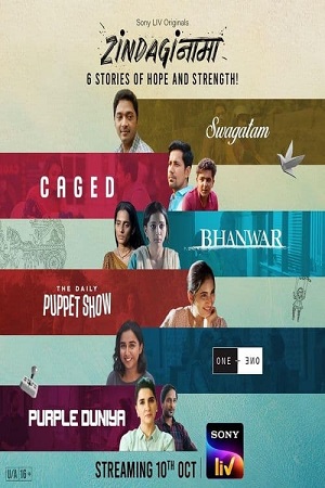 Download Zindaginama – Season 1 (2024) Complete Hindi WEB Series 480p | 720p | 1080p WEB-DL