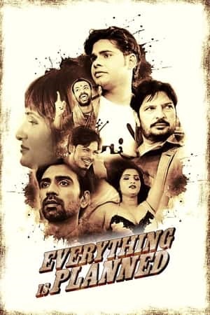 Download [18+] Everything is Planned – S01 (2020) UNRATED Hindi Hot WEB Series 480p | 720p HDRip