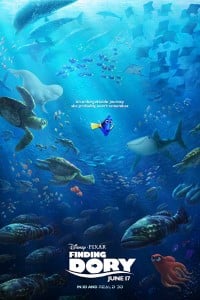 Download Finding Dory (2016) Dual Audio {Hindi-English} 480p [300MB] | 720p [950MB]