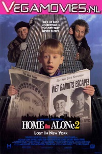 Download Home Alone 2 (1992) Dual Audio {Hindi-English} 480p [400MB] | 720p [1GB]