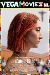 Download Lady Bird (2017) Dual Audio {Hindi-DD5.1-English} 480p [200MB] | 720p [800MB] | 1080p [1.6GB]