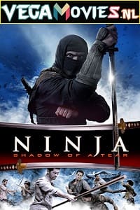 Download Ninja: Shadow of a Tear (2013) Dual Audio {Hindi-English} 480p [300MB] | 720p [1GB]