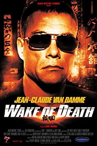 Download Wake of Death (2004) Dual Audio {Hindi-English} 480p [300MB] | 720p [1GB]