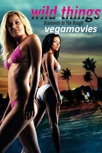 Download [18+] Wild Things 3 (2005) Full Movie in Hindi 480p [300MB] | 720p [800MB]